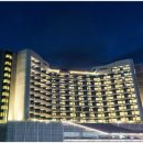 호텔77(HOTEL77) 이미지