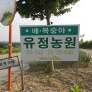 유정농원 이미지