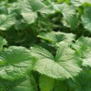 범이농장 이미지