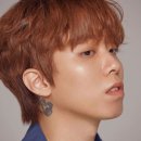 더스완 이미지
