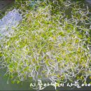 청포마을 이미지