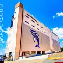 장생포로 이미지