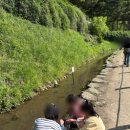 삼육영농조합법인 2농장 | [용인 체험]아기랑 가볼만한 곳 “한터농원” 올챙이잡기, 유정란꺼내기 내돈내산 후기
