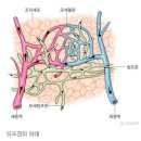 정체원 - 강남구 테헤란로4길 27 | 정체원