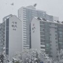 마두역 7번출구 옆 이미지