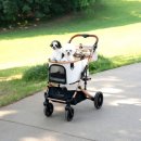 골드웨건 이미지