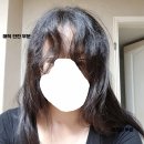 태라헤어 이미지