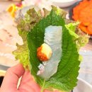 가람수족관 | [사상] 아이싱싱회, 사상 괘법동 맛집 횟집 솔직 후기 (메뉴·가격·웨이팅)
