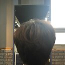트레보헤어 이미지