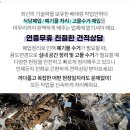 힐튼파크장 이미지