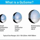 이바인화장품 이미지