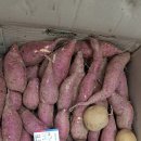 혜성판매(주) 이미지