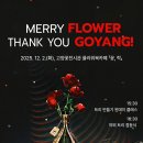 메리플라워 아이뉴스24