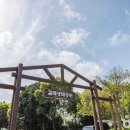 하영올레 1코스 | [제주도 서귀포시] 하영올레 1코스
