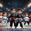 JTA 합기도 & MMA 이미지