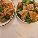 카페콩냥(CAFE,콩냥)