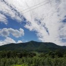 백화농장 이미지