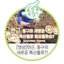 반야월연잎사랑 이미지