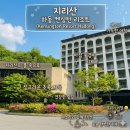지리산리조트 글램핑 | [경남 하동군]켄싱턴리조트 지리산하동 숙박 후기-디럭스룸 컨디션부터 로비 굿즈까지!