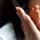 아르보헤어 이미지