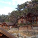 테마파크 펜션 이미지