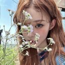 소담헤어 네이버블로그