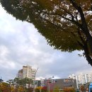 동해남부선 거제역 앞 | 거제역 양우내안애/거제역 바로앞/선착순 특별혜택 진행중