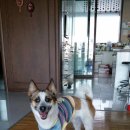 나원1리 이미지