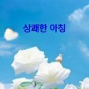 암소한마리 이미지