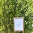 방축리 447-2 마을진입로 | 북촌 데이트코스 오설록 티하우스 북촌점 주차 메뉴 추천