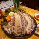 싱싱오징어바다 이미지