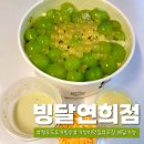 빙달 이미지