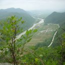 유정천리 이미지