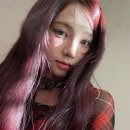 헤어메이트 이미지