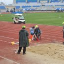 제 19회 전국장애학생체육대회 이미지