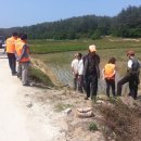 관정2리 이미지