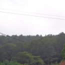 분당-71 이미지