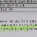 논리적 오류와 근접의 오류 이미지