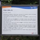 서산 개심사 방문 후기, 기와불사 체험까지 직접 다녀옴