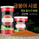 어항 | 파티션 어항 구매후기