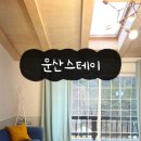 스테이운산 이미지