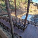 송이밸리자연휴양림 이미지