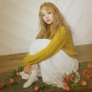 꽃길라이브