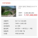 철원목장 이미지