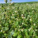 나무여행 이미지