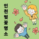 솔로몬여행사 이미지