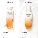 화다방 티스토리