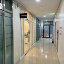 마곡 발산 수제 맞춤 케이크 전문점 : 드립시스, 블루베리 타르트 포장 후기