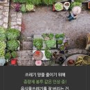 청소의신 - 화성시 동탄순환대로 823 | 청소의신