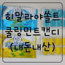 히말라야 쏠트 쿨링 민트 페퍼민트맛, 민트라임맛 캔디 블리스터팩 구매후기~